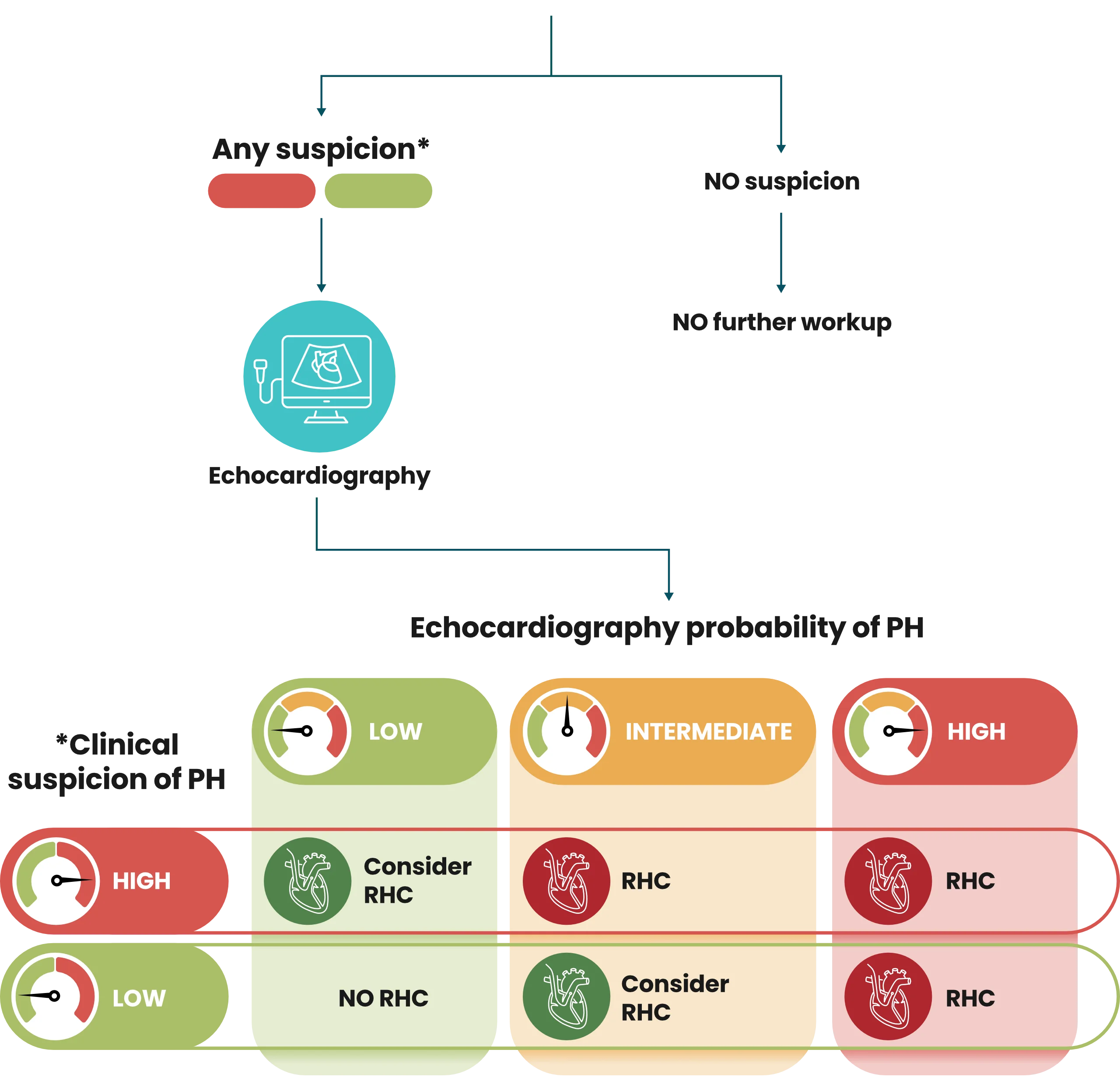 Clinical suspicion of PH should be followed up with an echo to determine if a RHC is needed. High PH probability of PH with echo or intermediate PH probability by echo with high clinical suspicion should lead to a RHC. Consider a RHC for non-low risk scenarios.